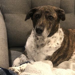 Meet your Posher, Cherreen